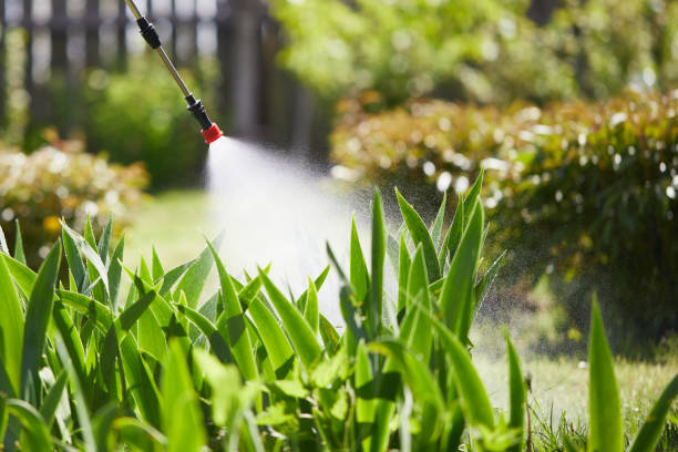 Tamper-Resistant Bait Stations for Rodents in Watertown