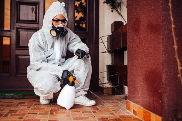 Attic and Crawl Space Rodent Treatment in Watertown