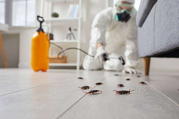Commercial Rodent Management in Watertown